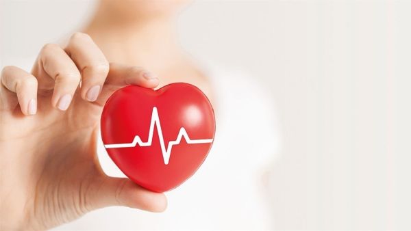 افضل دكاترة قلب في الرياض