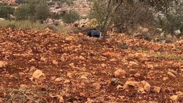 المستوطنون يرتكبون مجزرة في نابلس
