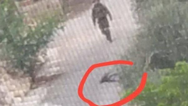 قوات الاحتلال منعت سيارات الإسعاف الفلسطينية من الوصول إلى موقع إطلاق النار