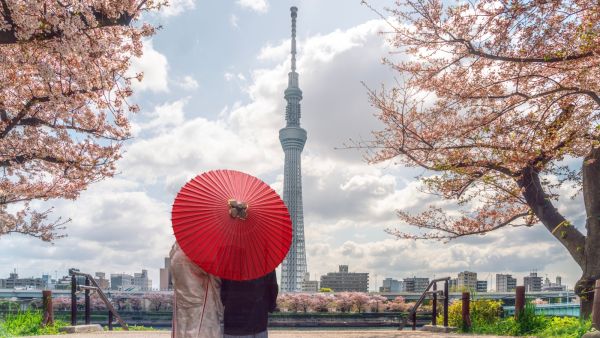 خطة رائعة لزيارة اليابان في ثلاثة أيام فقط خطة رائعة لزيارة اليابان في ثلاثة أيام فقط