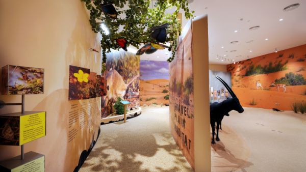 New visitor centre opens at Dubai Desert Conservation Reserve