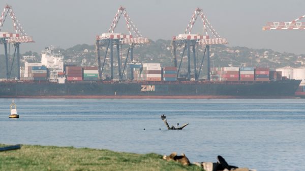 ZIM Ship 