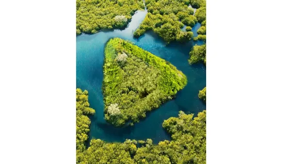 ADCB launches its Sustainable Call Account to support corporate customers pursue environmental goals