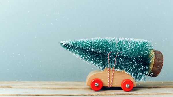 6 نصائح هامة قبل شراء شجرة الكريسماس الجديدة 