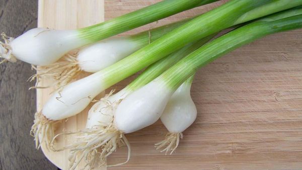 تفسير رؤية البصل الأخضر في المنام