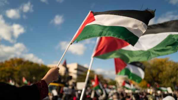 دعا المفوض للهيئة العليا للعشائر الى ضرورة اتخاذ "قرار وطني يرتقي إلى مستوى التضحيات وعظمتها 
