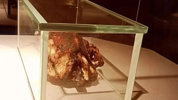 Mummified duck inside Egypt's Luxor Museum