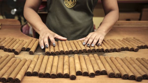 Nicaraguan cigars
