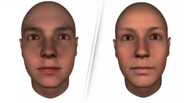Face shape 