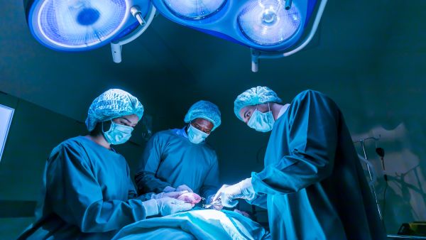Shutterstock nerve transplant