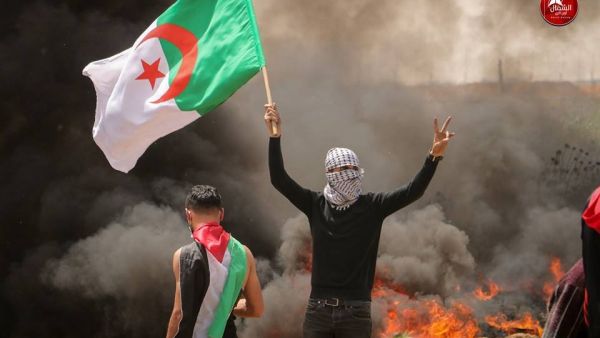اميركا تهدد بفيتو ضد مشروع قرار جزائري في مجلس الامن- الصورة عن تويتر