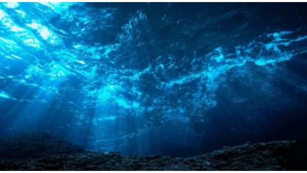  Ocean