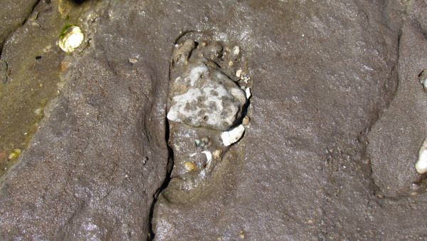 human footprints