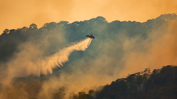 Wildfire in Australia: 16,000 hectares of land reduced to ashes