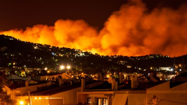 Layla Abdel Latif predicted Hebron's massive blaze 2 years ago!