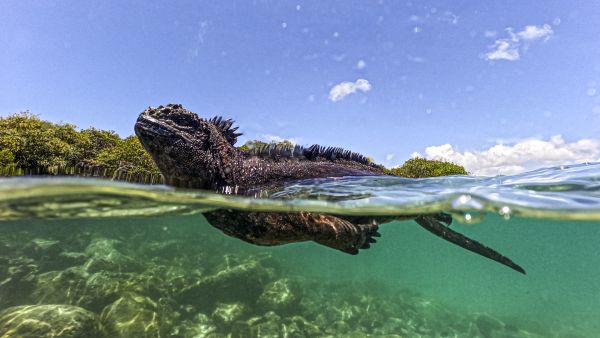 marine reserve