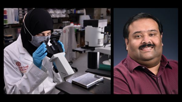 Dr. Isra Marei and Dr. Samson Mathews Samuel WCM-Q researchers earn full membership at Sigma Xi Honor Society
