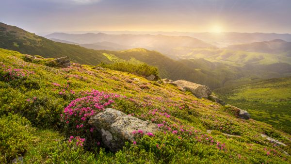 vernal equinox