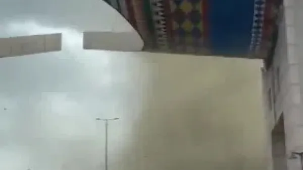 أبها 