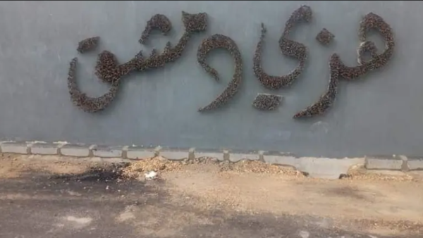 عبارة هزي دمشق