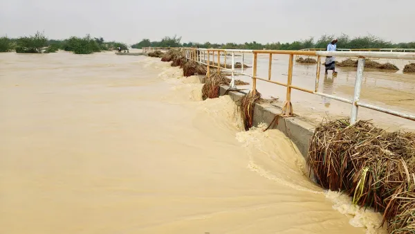 سيول في اليمن