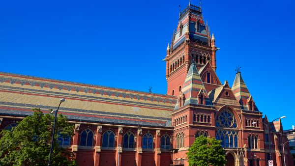 Harvard 