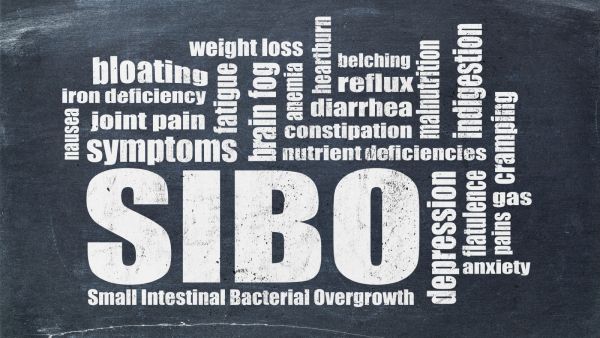 طبيب البوابة: ما هو سيبو (SIBO) وهل يؤثر على حالتك الصحية؟