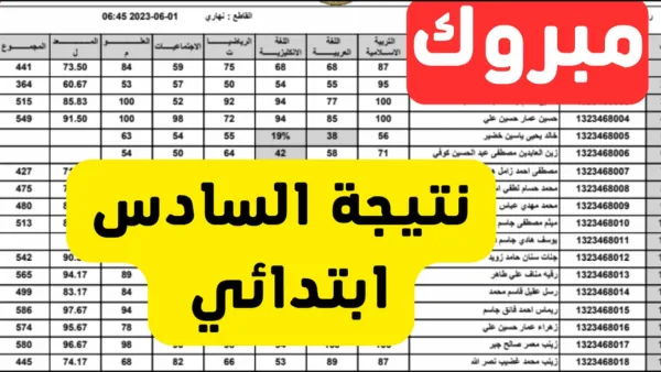 نتيجة السادس الابتدائي الدور الأول