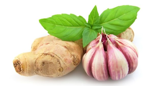 طبيب البوابة: هل خلط الزنجبيل والثوم يقلل من فوائدهما؟