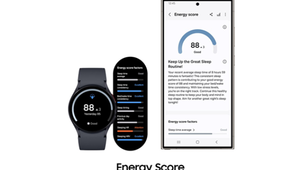 Samsung Electronics Levant