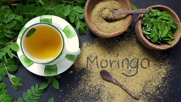 طبيب البوابة: فوائد صحية لا يمكنك تجاهلها لنبات المورينجا