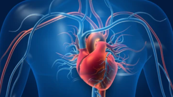 Shutterstock  Organ Transplants