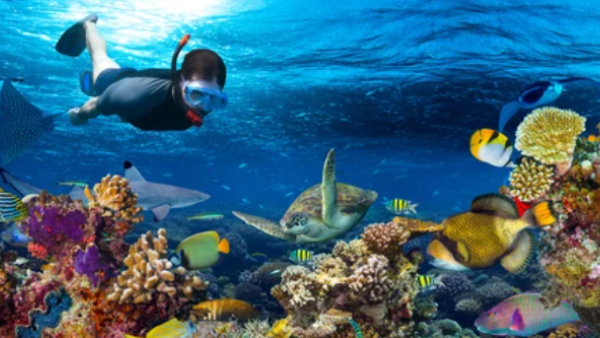 underwater
