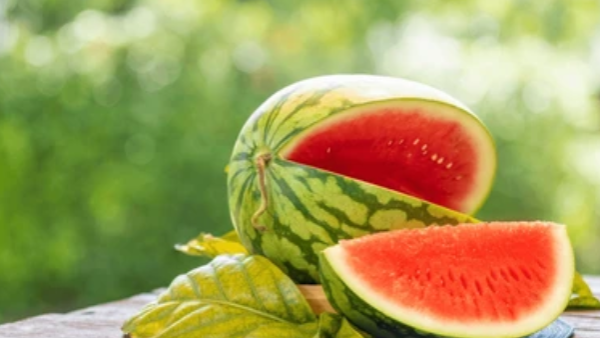 Shutterstock  summer