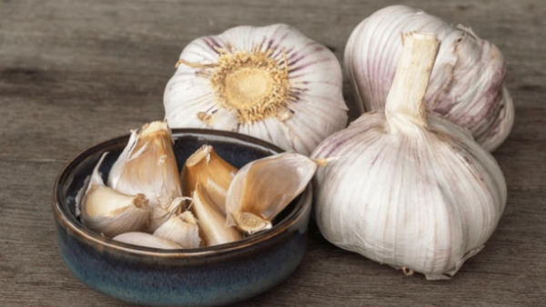 Shutterstock  Lifestyle