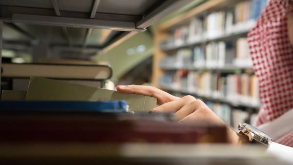 UAE universities