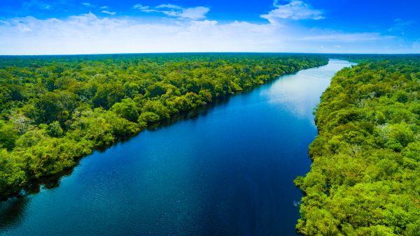 Amazon rainforest 