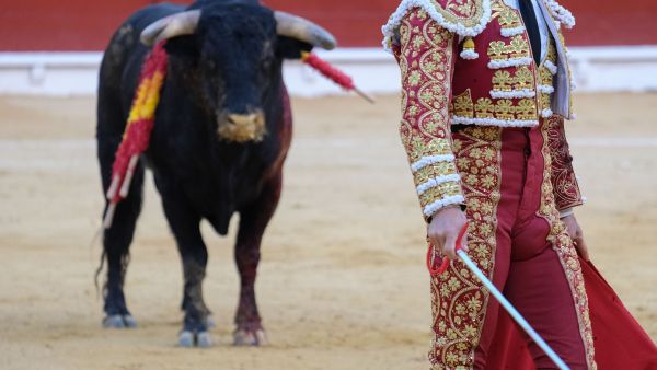 bull fight
