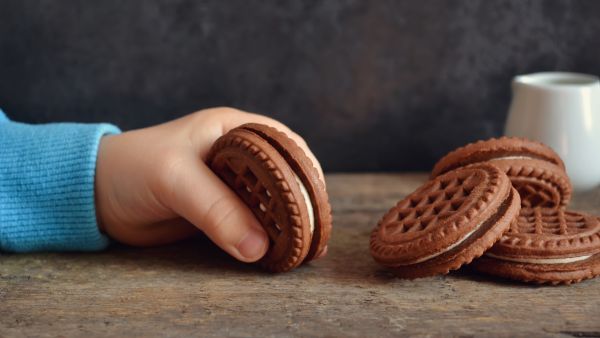 biscuit