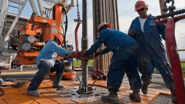 شروط عمل الأجانب في مصر لاستخراج التراخيص  شروط عمل الأجانب في مصر لاستخراج التراخيص