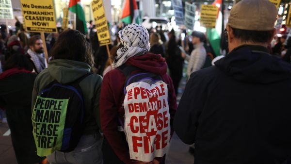 Pro-Palestinian activists