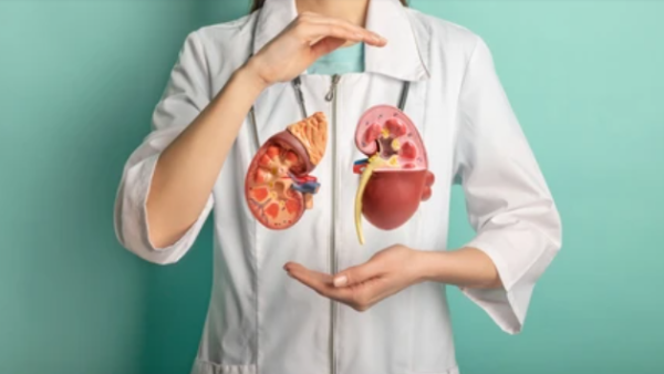 Kidney Transplant