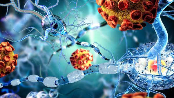 Rare flesh-eating bacteria spread in Japan, 977 cases reported 
