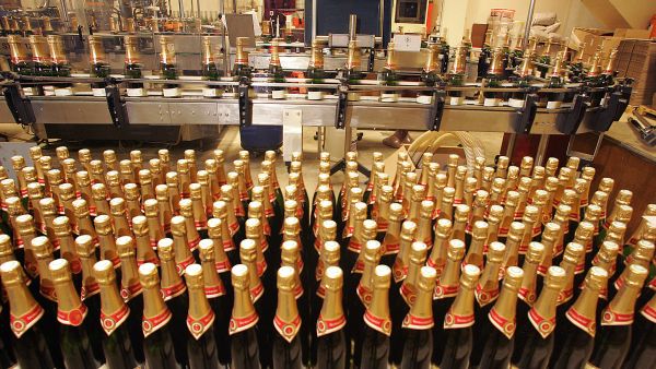 Wine Factory 