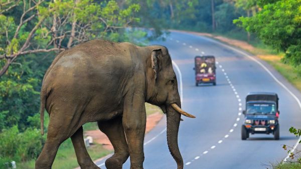 Sri Lanka