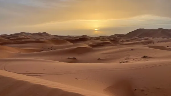 12 Syrians found dead in the Algerian desert