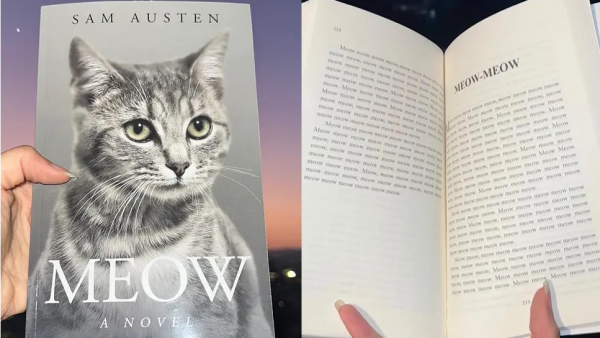 رواية Meow: A Novel