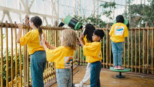 During the event SeaWorld® Yas Island, Abu Dhabi launches educational four-day summer camp
