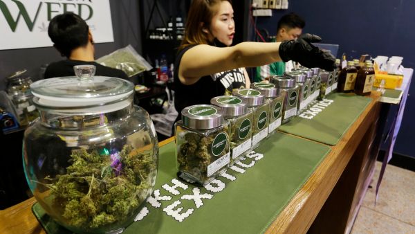 Thai Cannabis activists go on hunger strike as government set to recriminalize the recreational industry