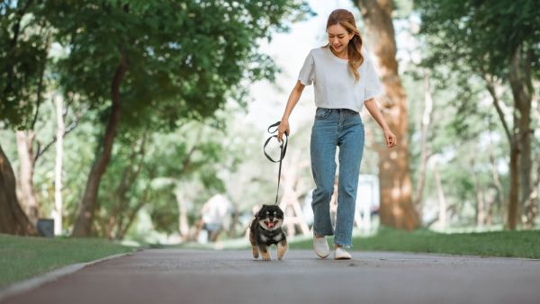 Shutterstock walking